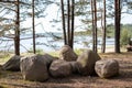 Large stones in the forest