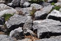 Large stones with grass in between.