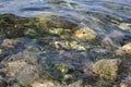 Large stones with green algae under the clear transparent water of the sea Royalty Free Stock Photo