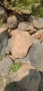 Large stones for house building foundations