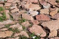 Large stones and moss between them, background Royalty Free Stock Photo