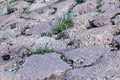 Large stones and moss between them, background Royalty Free Stock Photo