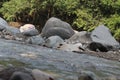 Large stones in the river in West Java in Indonesia Royalty Free Stock Photo