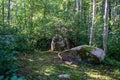 Large stones in wild forest with moss Royalty Free Stock Photo