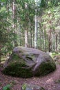 Large stones in wild forest with moss Royalty Free Stock Photo