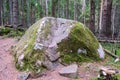 Large stones in wild forest with moss Royalty Free Stock Photo