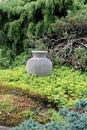 Large stoneware vase set in the middle of greenery from shrubery and fir trees in summertime garden Royalty Free Stock Photo