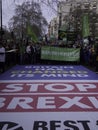 Best For Britain social campaigners protesting against Brexit