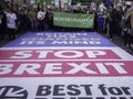 Best For Britain social campaigners protesting against Brexit