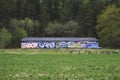A large storage facility covered in graffiti. Large field with greenery and forest.