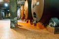 Large storage tanks where grape juice is aged into wine located in wine cellar Royalty Free Stock Photo