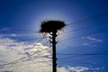 A large stork nest on an electric pylon