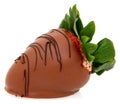 Large Strawberry Dipped in Chocolate