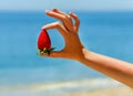 Large Strawberry on French Riviera in Cannes on Croisette in summer