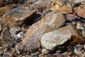Large stream boulders Royalty Free Stock Photo