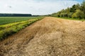 Large stubble field in summertime Royalty Free Stock Photo