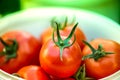 Macro shot of a group of freshly picked red ripe tomatoes.