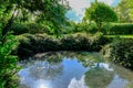 Large summer pond seen in summertime, home to many newts, moorhens and other animals. Royalty Free Stock Photo