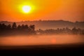 large sun disk in orange sky at sunrise over misty palms Royalty Free Stock Photo