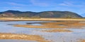 Large swamp area in Greece Royalty Free Stock Photo