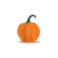 A pumpkin vector or color illustration