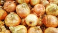 Large Sweet Yellow Onions Royalty Free Stock Photo