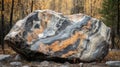 A Large, Swirling, Bouldered Rock in a Forest Setting Royalty Free Stock Photo