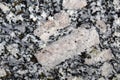 Tabular k-feldspar crystals in a granite ghiandone rock Royalty Free Stock Photo