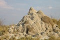 Large termite in the Etosha National Park, Namibia