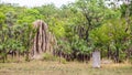 Large Termite Mound in Litchfield National Park, NT, Australia Royalty Free Stock Photo