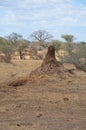 Large termite mound located in Tanzania.