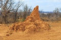 Large termite mound in typical african landscape with termite in Namibia Royalty Free Stock Photo