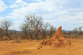 Large termite mound in typical african landscape with termite in Namibia Royalty Free Stock Photo