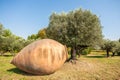 Large terracotta jar for oil and olive trees Royalty Free Stock Photo