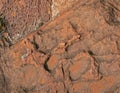 RED SAND IN INDENTATIONS IN A ROCK Royalty Free Stock Photo