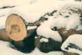 Large timber stack covered by snow.Winter image.High quality photo Royalty Free Stock Photo