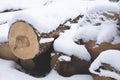Large timber stack covered by snow.Winter image.High quality photo Royalty Free Stock Photo