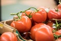 Large tomatoes for sale in a carton at market Royalty Free Stock Photo