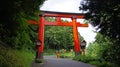 Large Tori of Taikodani Inari Shrine in Tsuwano Royalty Free Stock Photo