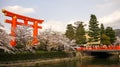 Large Torii gate with cherry tree blossom Royalty Free Stock Photo