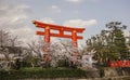 Large Torii gate with cherry tree blossom Royalty Free Stock Photo