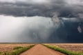 A large tornado over a field in Kansas