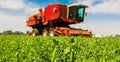 Large tractor farming on a green pea field