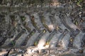 Large tractor tire imprint on wet forest soil. Top view, tire tracks, no people