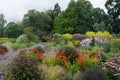 Large traditional english borders of hardy perennials Royalty Free Stock Photo