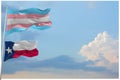 large Transgender Pride flag and flag of Texas state, USA waving in wind at cloudy sky. Freedom and love concept. Pride month.
