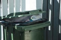 a large trash can near a gray fence. background for the design. garbage collection Royalty Free Stock Photo