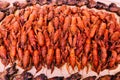 A large tray with red crawfish Royalty Free Stock Photo
