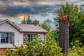 Large tree broken off surrounded by branches in front of neat little house after storm Royalty Free Stock Photo