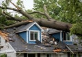 Large Tree Fallen on Blue House Roof Causing Damage Royalty Free Stock Photo